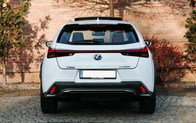 Lexus UX cena 145000 przebieg: 39452, rok produkcji 2020 z Białystok małe 742